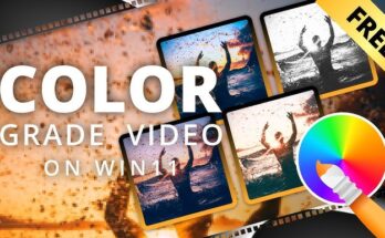 Color Grading Basics: Make Your Videos Pop